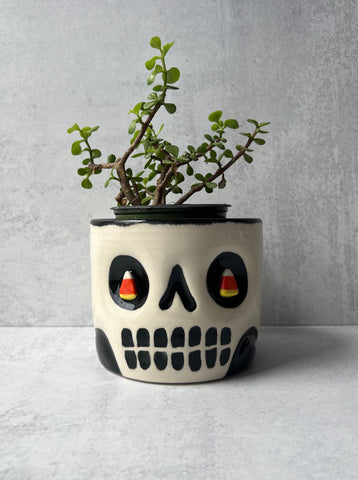Skull Candy Corn Eyes Planter Smaller