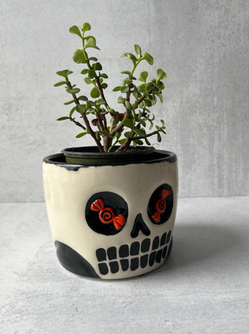 Skull Candy Eyes Planter