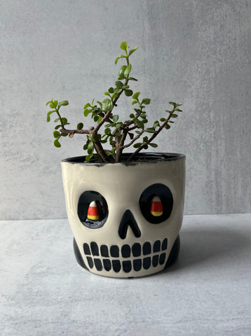 Skull Candy Corn Eyes Planter Larger - No drainage holes