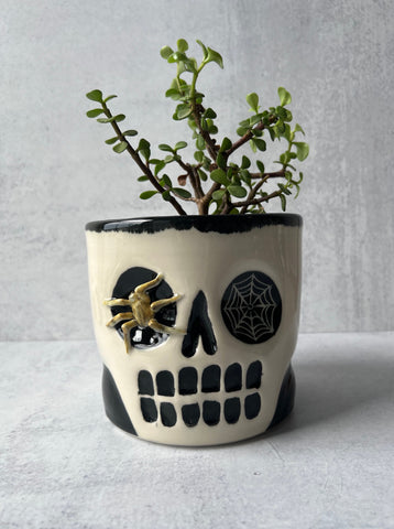 Skull Spider & Web Eyes Planter