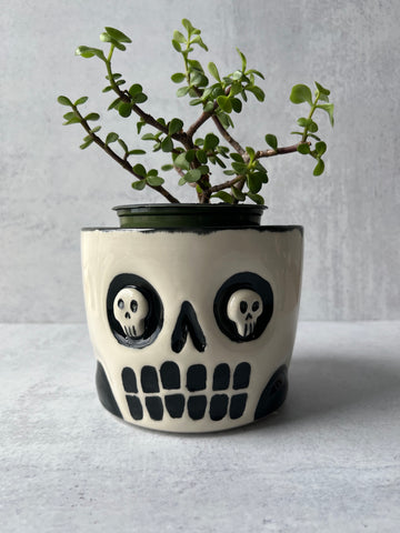 Skull Meta Eyes Planter