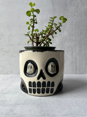 Skull Ghost Eyes Planter Smaller